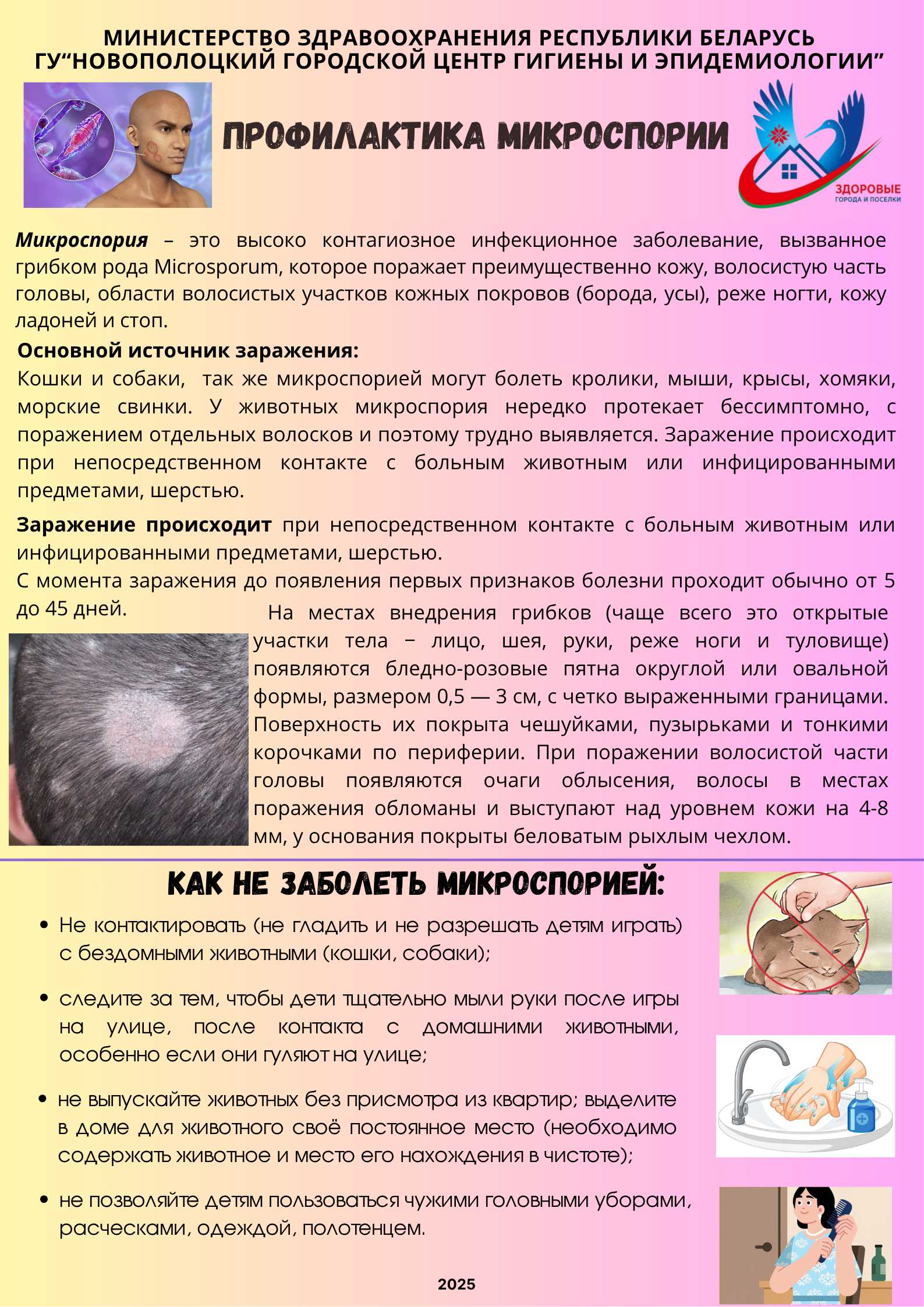 Профилактика микроспории